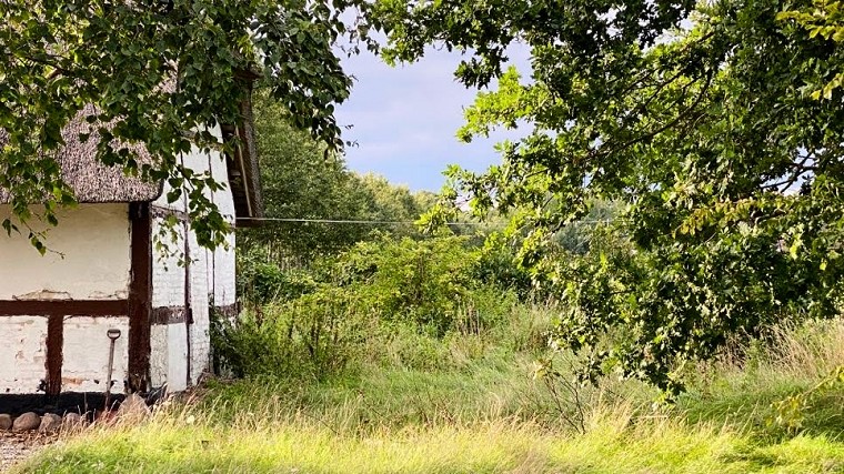 gæster i villa gress, skrivested, eget skrivested, privat skriveoase, langtidsophold, universitet, forfatter, skribent